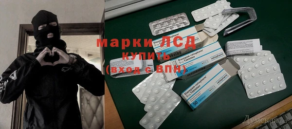 ПСИЛОЦИБИНОВЫЕ ГРИБЫ Михайловск