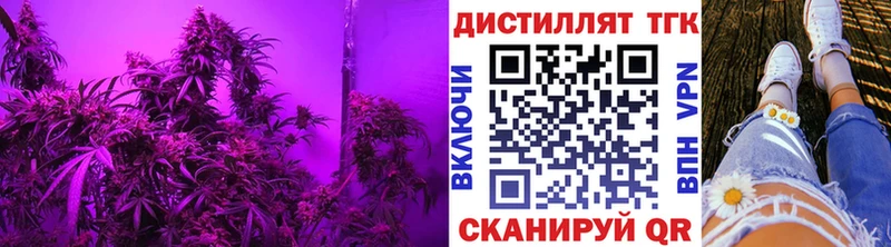 закладки  Струнино  Дистиллят ТГК концентрат 