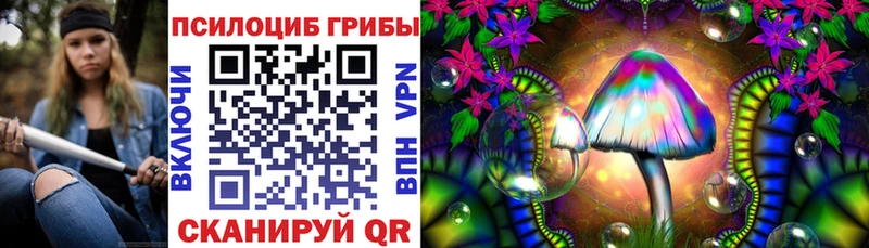 Галлюциногенные грибы прущие грибы  закладка  Струнино 