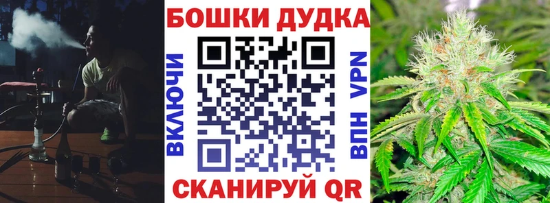 Бошки Шишки семена  закладки  Струнино 